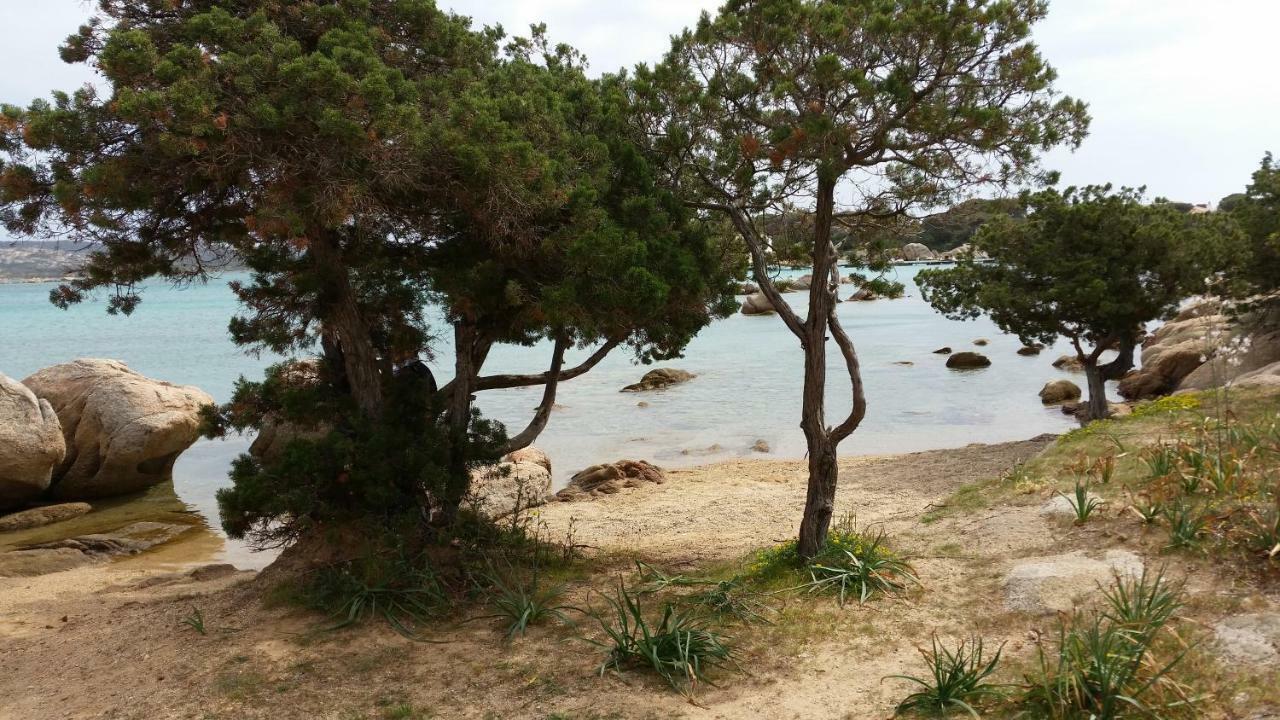 Casa Vacanze Della Maddalena ภายนอก รูปภาพ